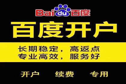 百度SEM与竞价排名策略的深度结合案例